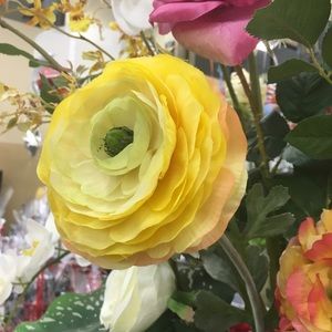 Meet your Posher, Pat